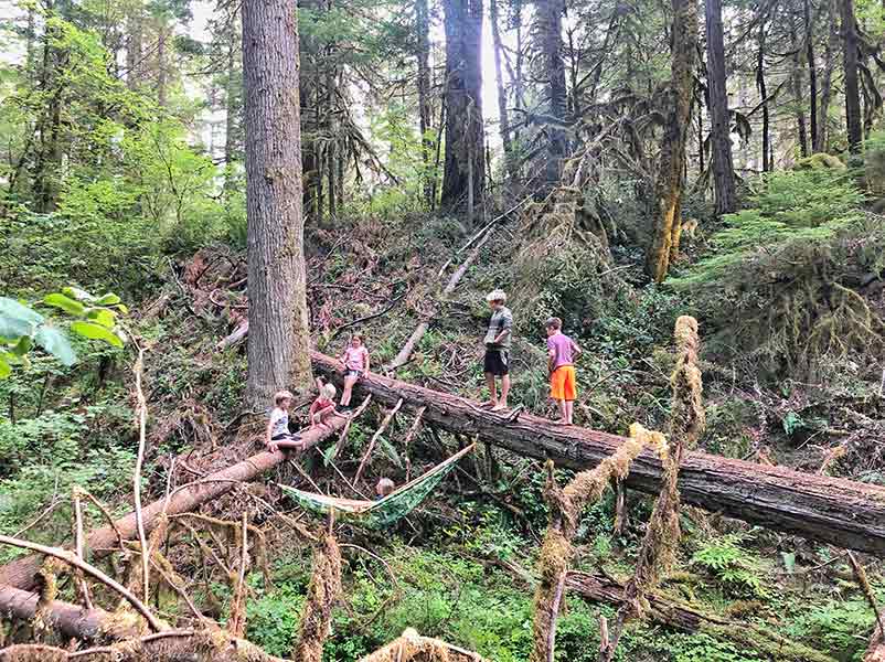 McKenzie River Camping