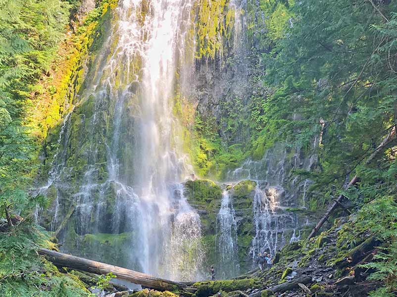 Proxy Falls Trail in McKenzie River area