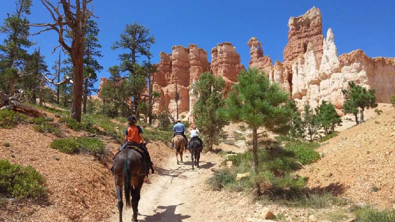 Riding horses in Bryce