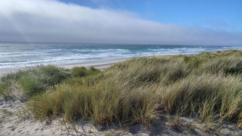 Bullards Beach State Park