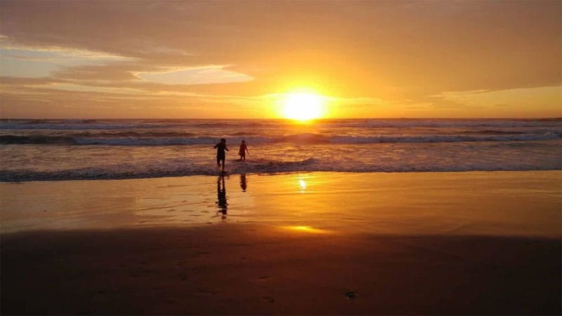 Oregon Coast Camping - Cape Lookout State Park