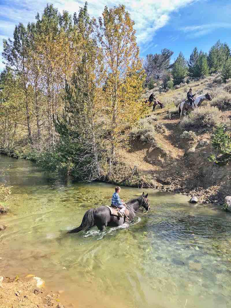 Horseback Riding