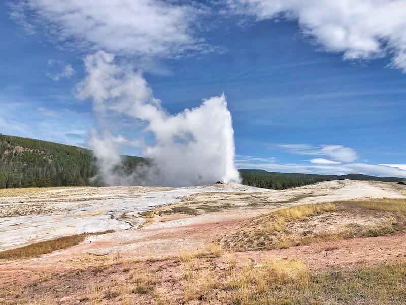 Old Faithful in Yellowstone