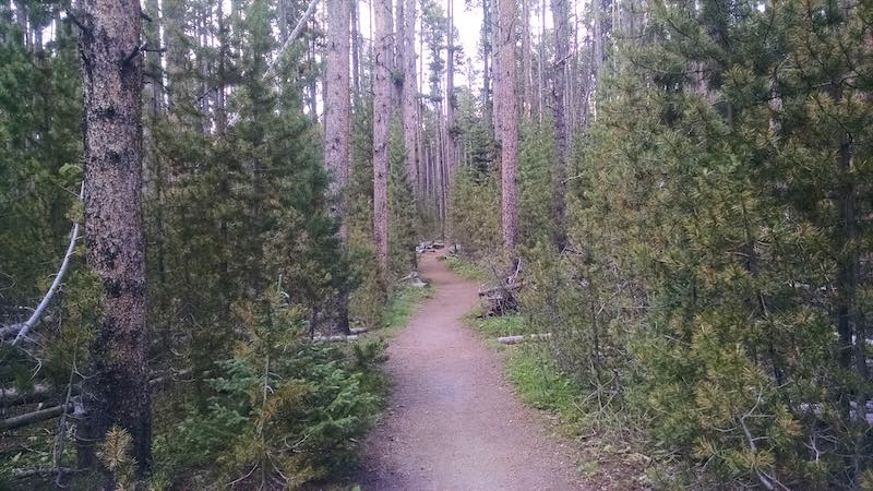 Hike Storm Point in Yellowstone