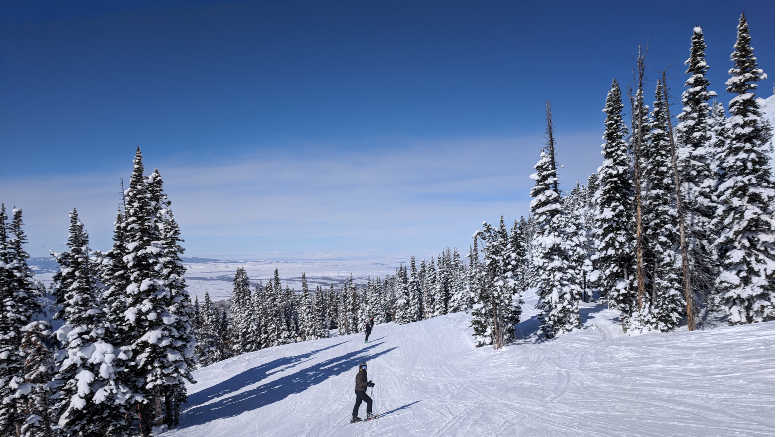 picture of a skier on the slops of Grand Targhee, Best family ski resorts