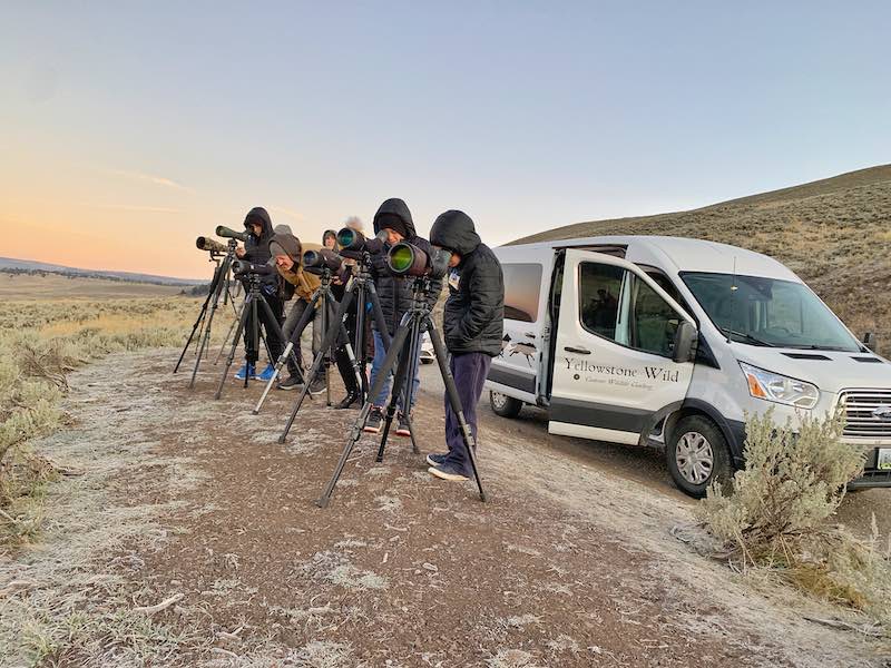 Yellowstone Wild Tour