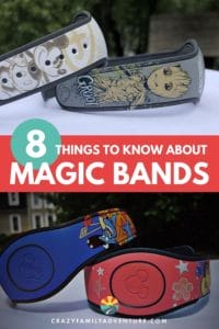 Disney World Magic Bands can take your vacation from okay, to awesome! Learn all about these little bands and why you should have them for your trip!