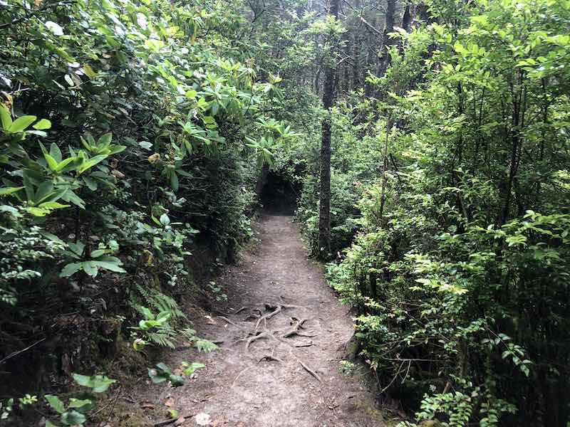 Hobbit Beach Trail