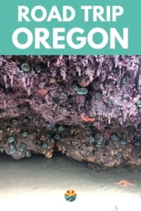Places to visit on an Oregon Coast Road Trip. Including a map and a list of 26 things to do! Your kids will love this trip and so will you! Use this post as a travel guide and your itinerary to have an amazing Oregon road trip! Including camping recommendations and hotels to stay at. Check this one off your bucket lists!