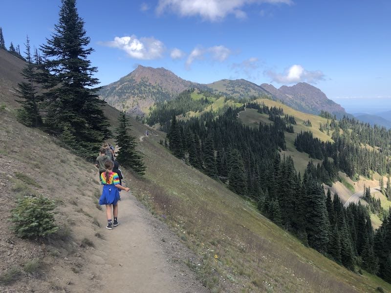 hurricane ridge hike wta