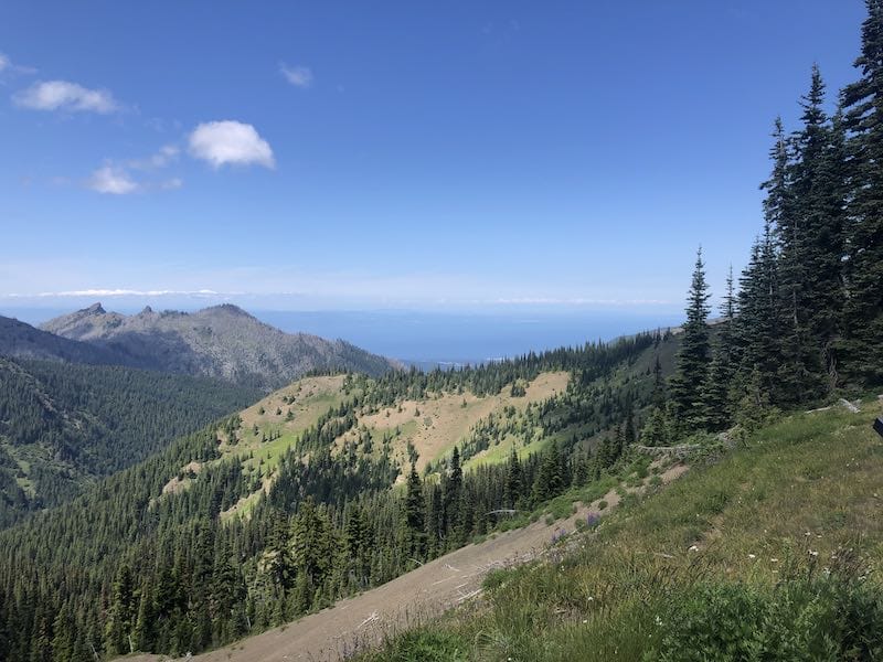 hurricane ridge hike wta