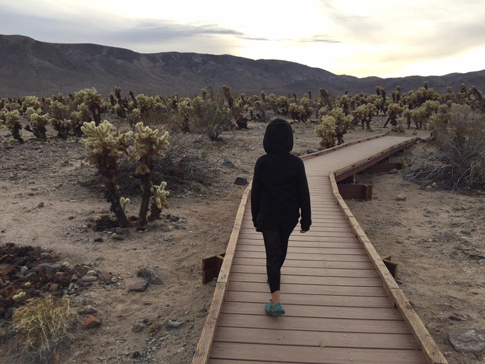 Joshua Tree