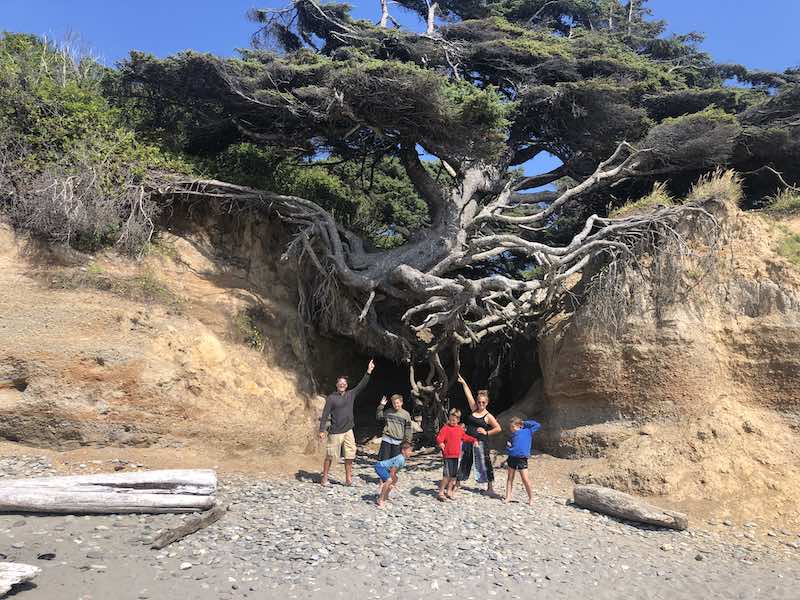 Kalaloch Beach