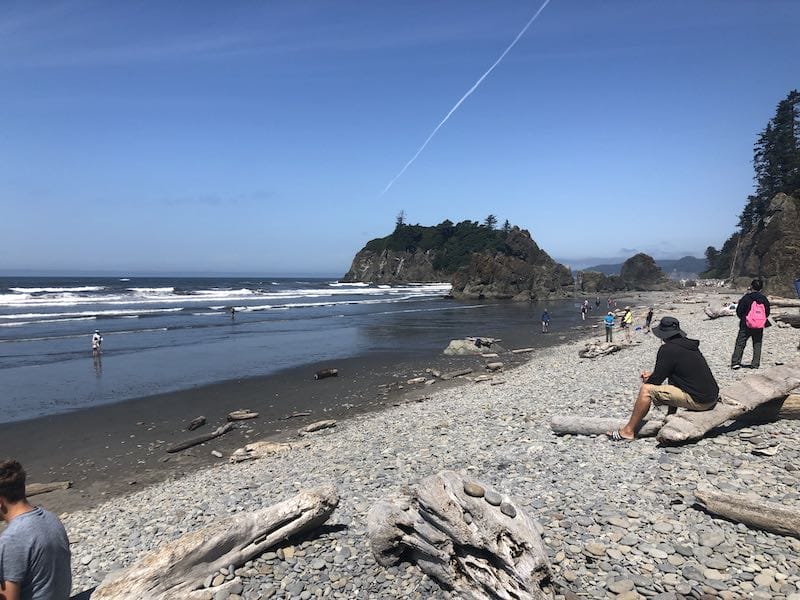 Olympic National Park Coast