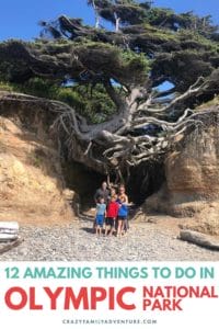 Olympic National Park is filled with beautiful mountains, forests, waterfalls, beaches and a rain forest! Here are 12 amazing things to do in Olympic National Park that you don't want to miss!
