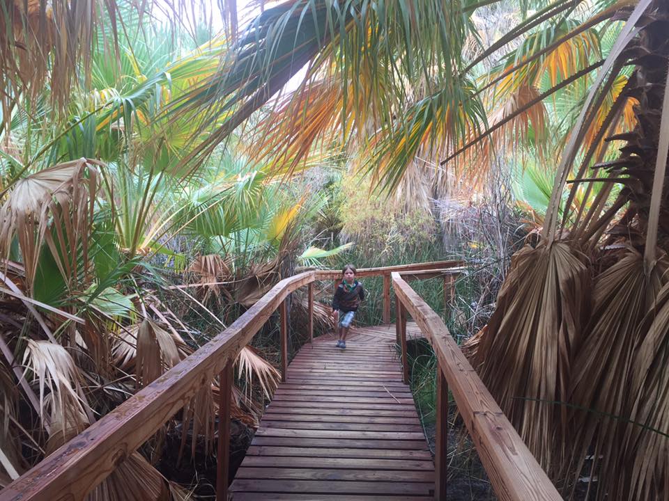 On a boardwalk in Palm Springs