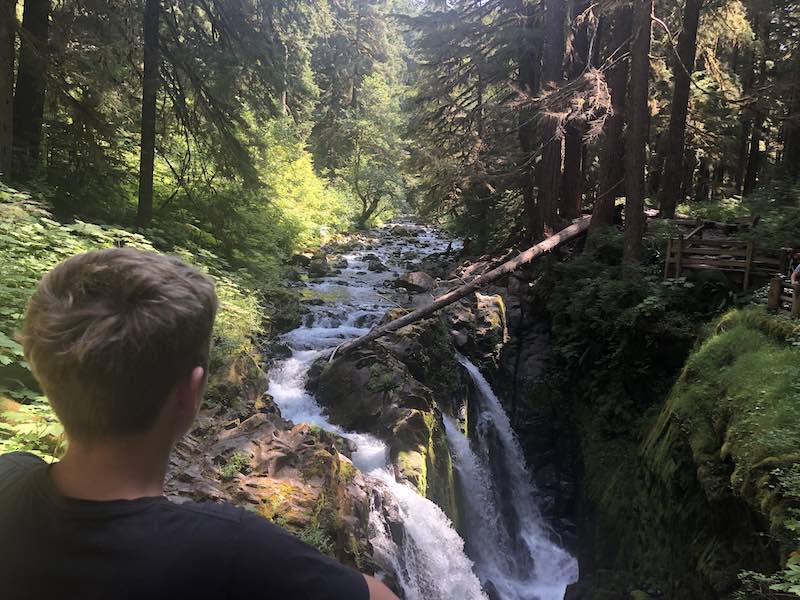 Olympic NP hike
