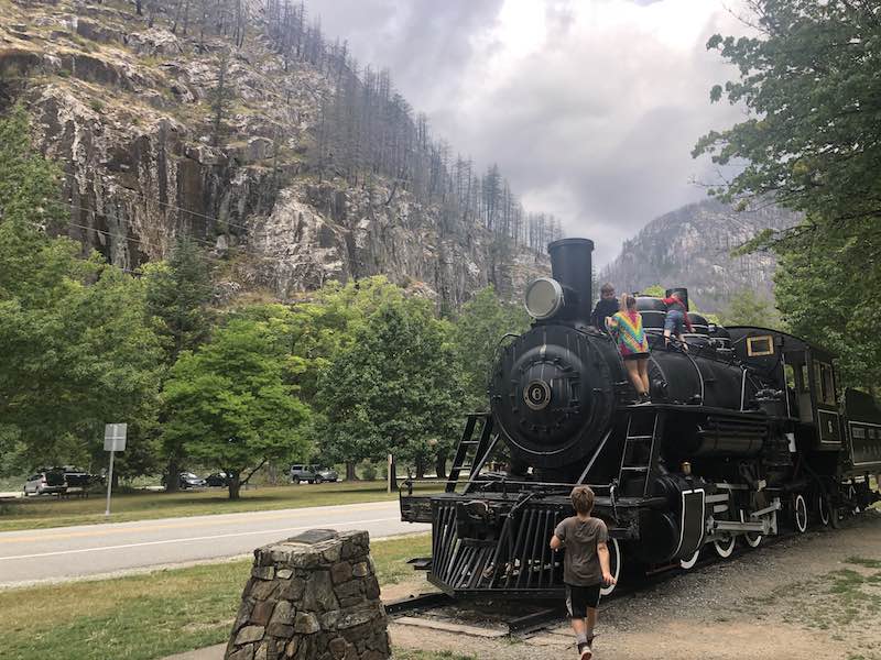 Skagit Train