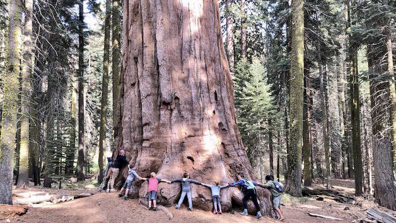 Sequoia National Park