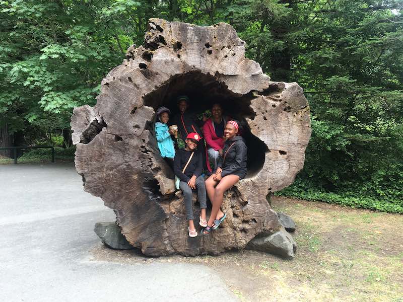 Avenue Of The Giants