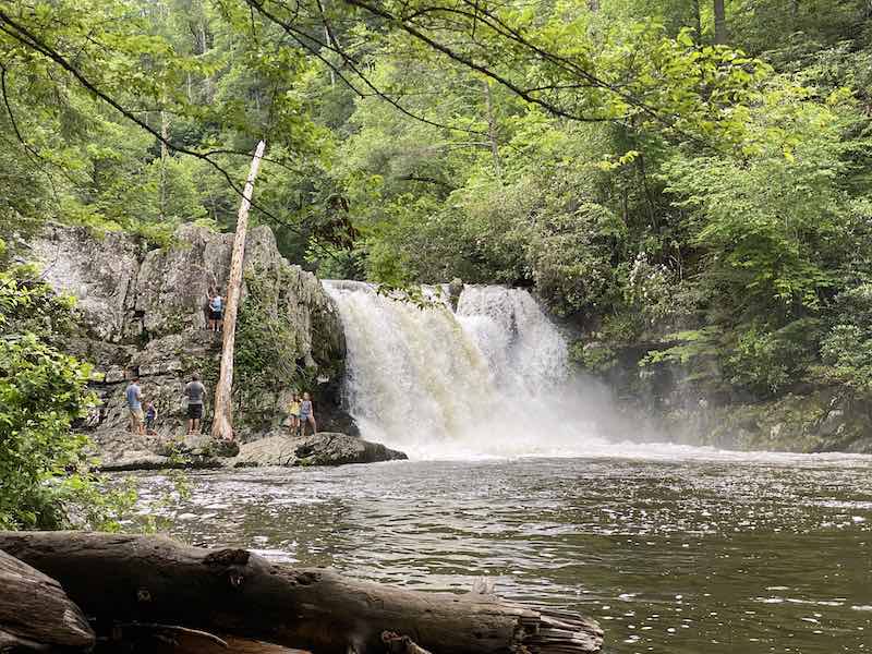 Abrahams Falls Trail in Smoky Mountains National Park.