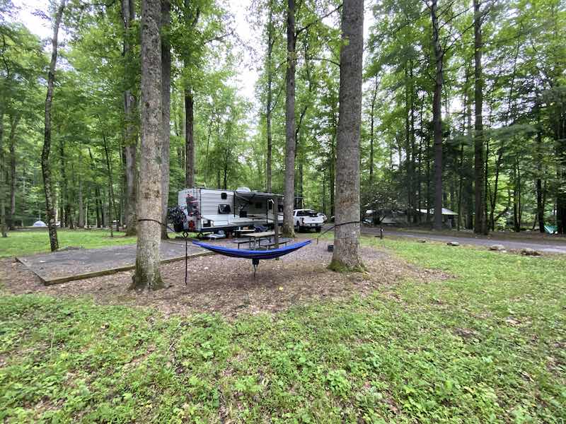 Elkmont Campground in Smoky Mountains National Park.