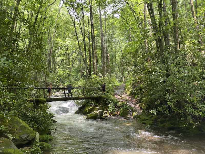 Kephart Prong Shelter Trail