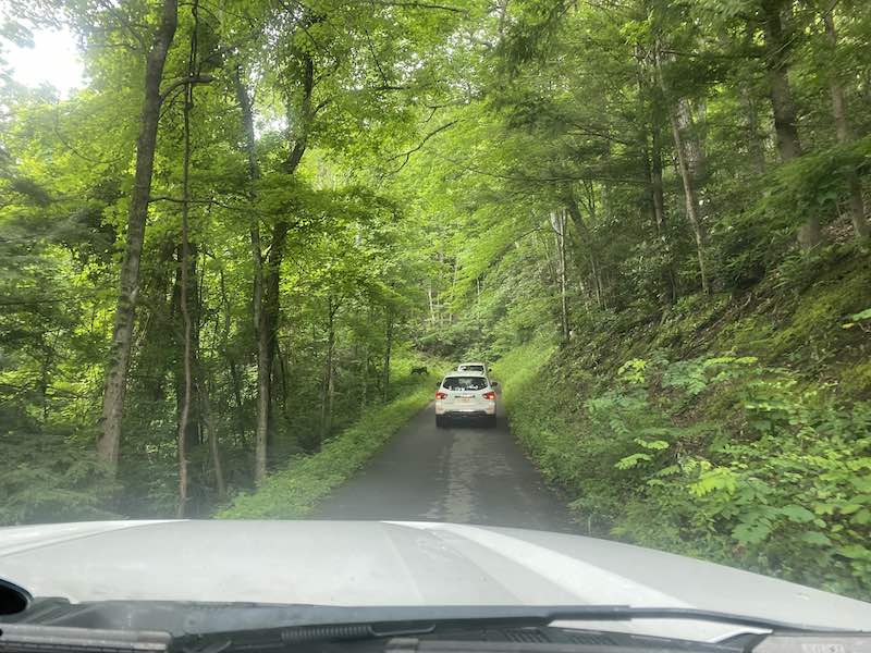 Roaring Fork Motor Nature Trail in Smoky Mountains National Park.