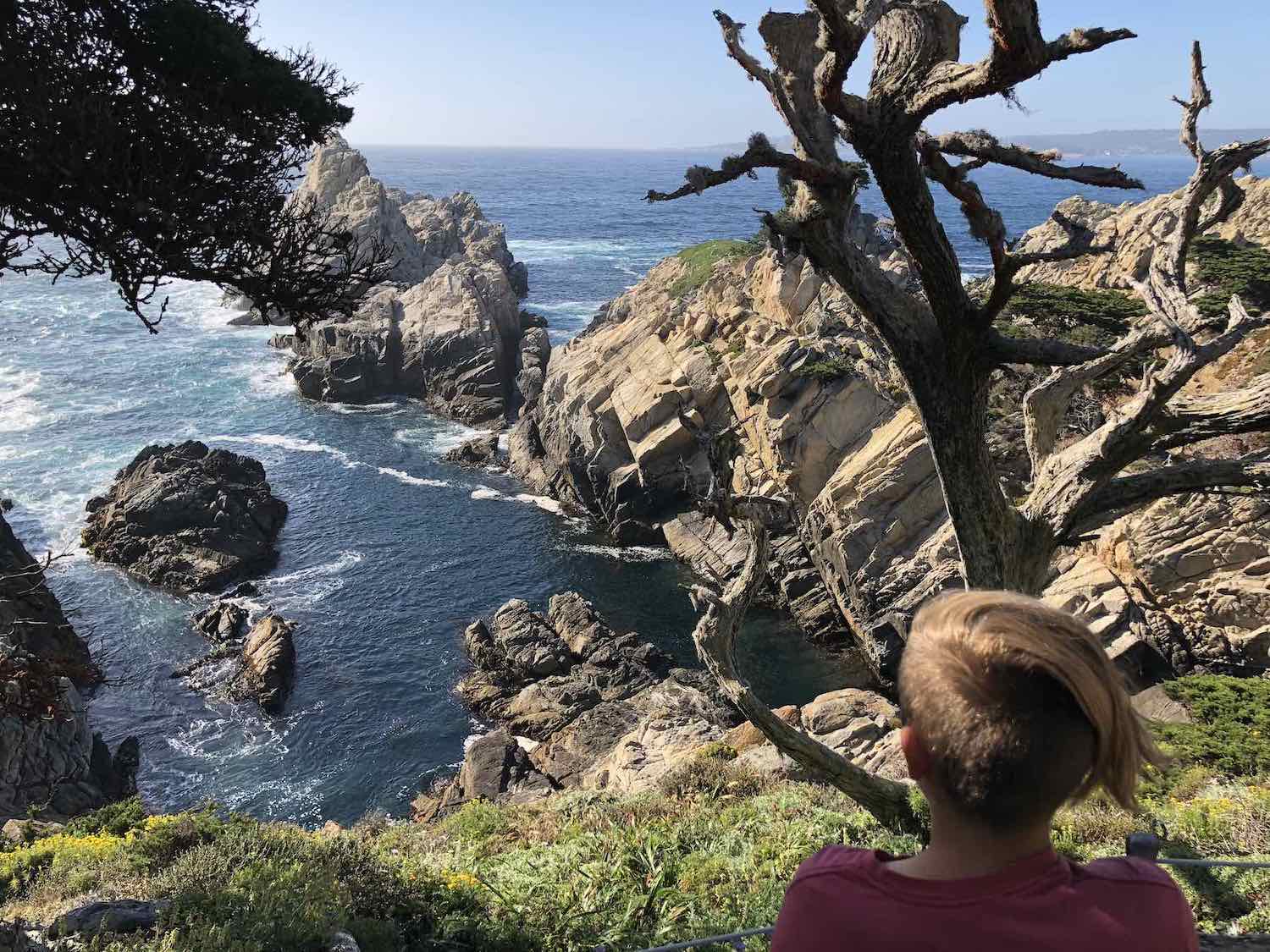 Point Lobos Natural Reserve