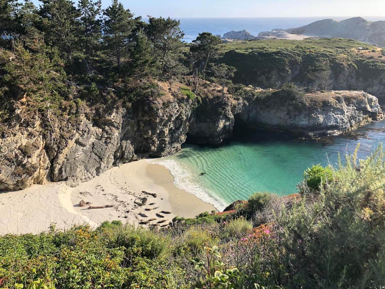 Bird Island at Point Lobos