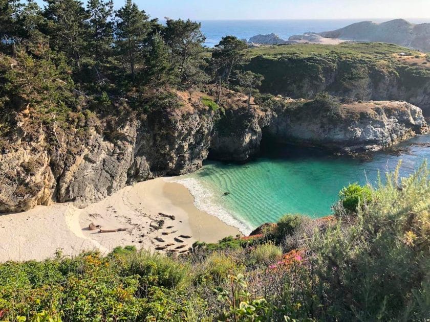 Bird Island at Point Lobos