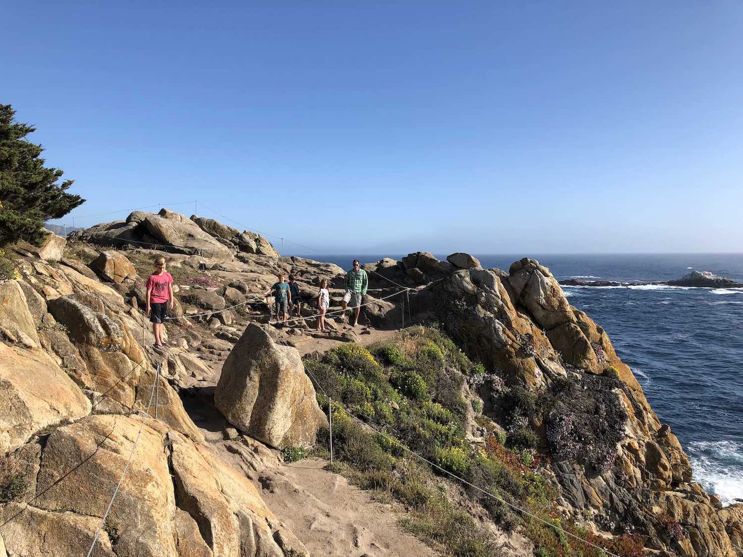 Cyprus Grove Trail in Point Lobos State Park