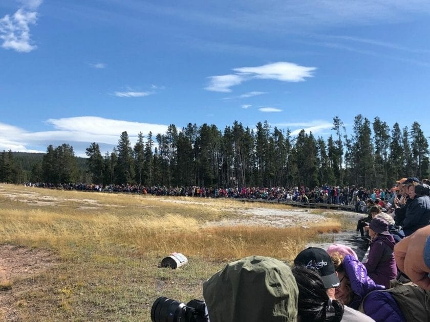 Old Faithful Crowd