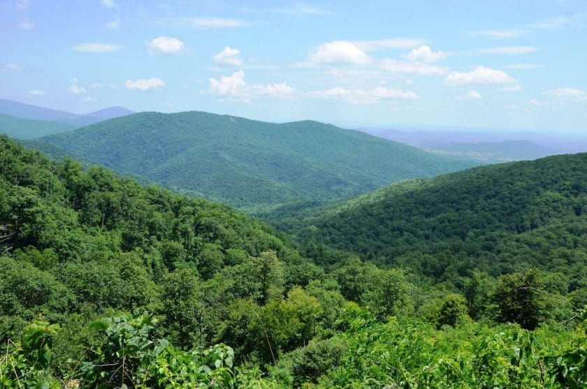 Shenadoah National Park in Virginia