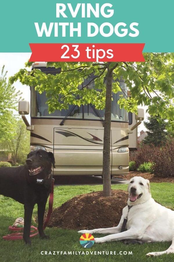 RVing with dogs is a great way to travel! Here are 23 tips from 5 years of full time RVing with dogs. We share dog friendly locations to visit, travel day tips, and how to make your rv adventure a great time for you the dog owner and your dog. Hitting the road with a dog takes a bit more planning on what RV parks you will stay at and what road trips you will take but it is 100% possible! 