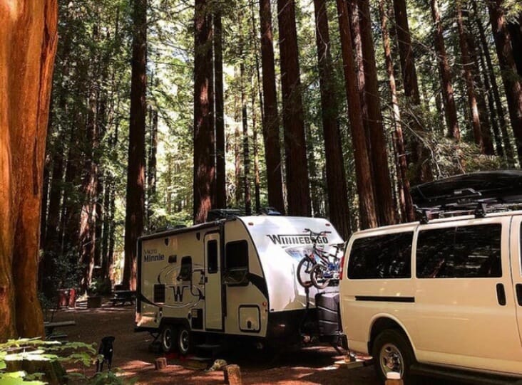 Camping in the Redwoods