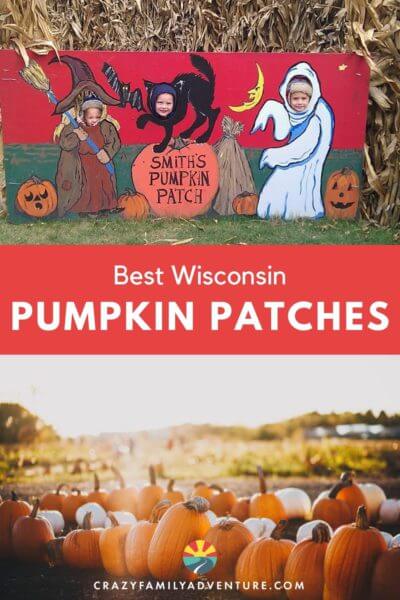Check out these amazing Wisconsin Pumpkin Patches! Fun for the whole family! Pumpkins, corn mazes, cookies and more!