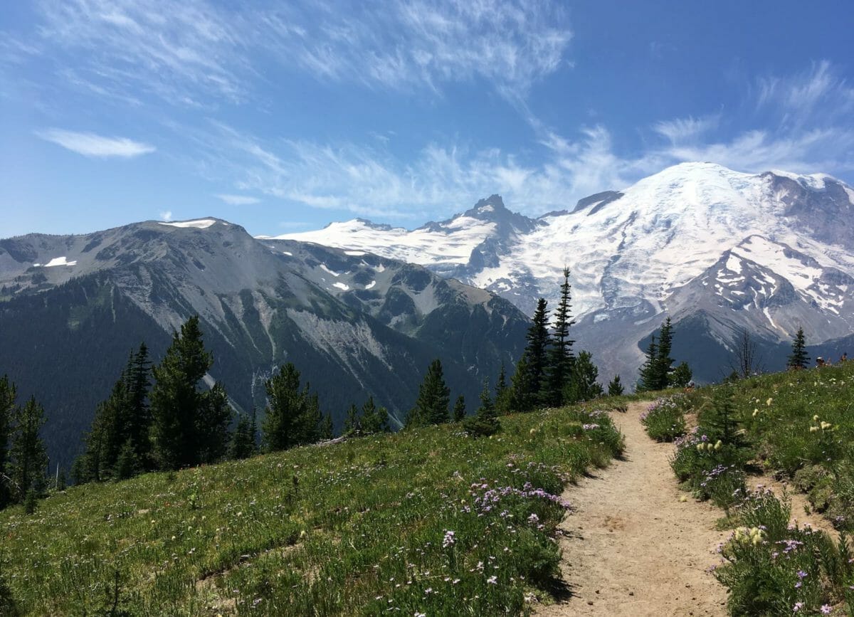Mount Rainier National Park, The Best Road Trip Gifts