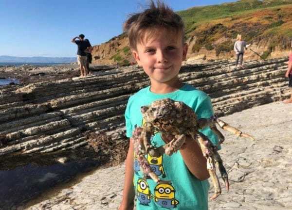 Shows a little boy holding a crab at Morro Bay,Things to do in Southern California