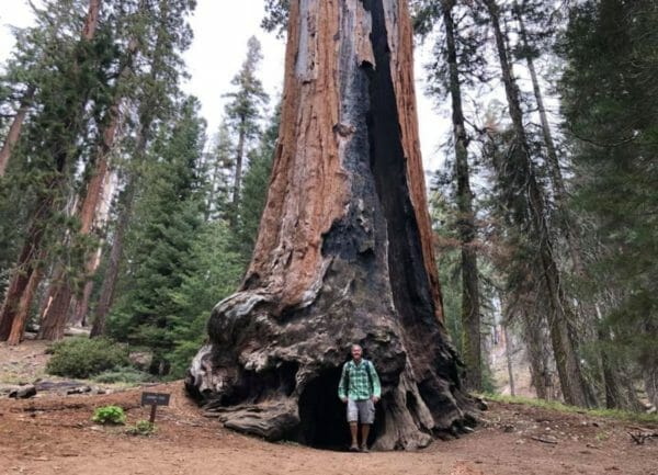 Sequoia National Park,Things to do in Southern California