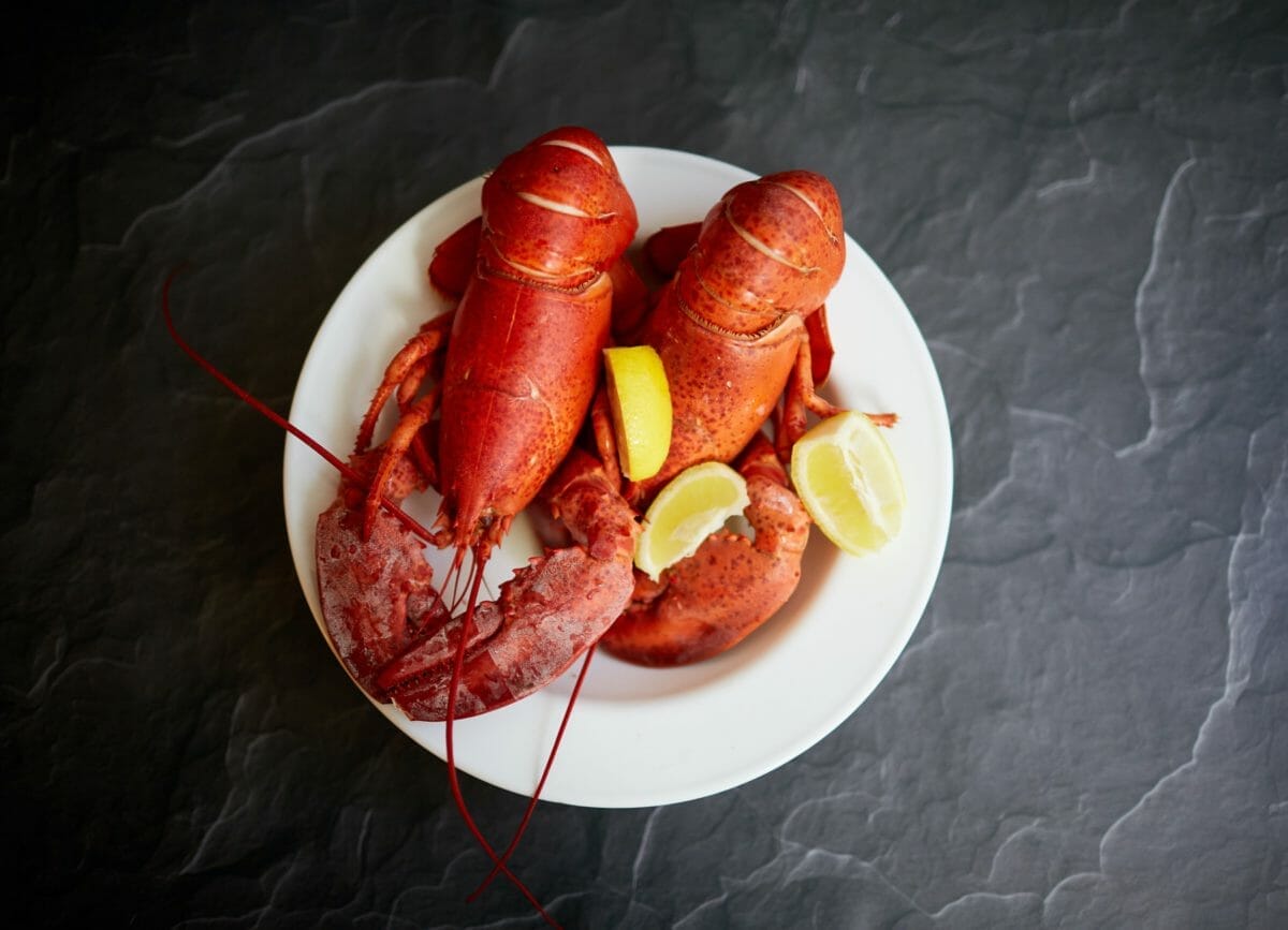 Lobster on a Plate a top thing to do in Bar Harbor Maine Things to do in Bar Harbor Maine