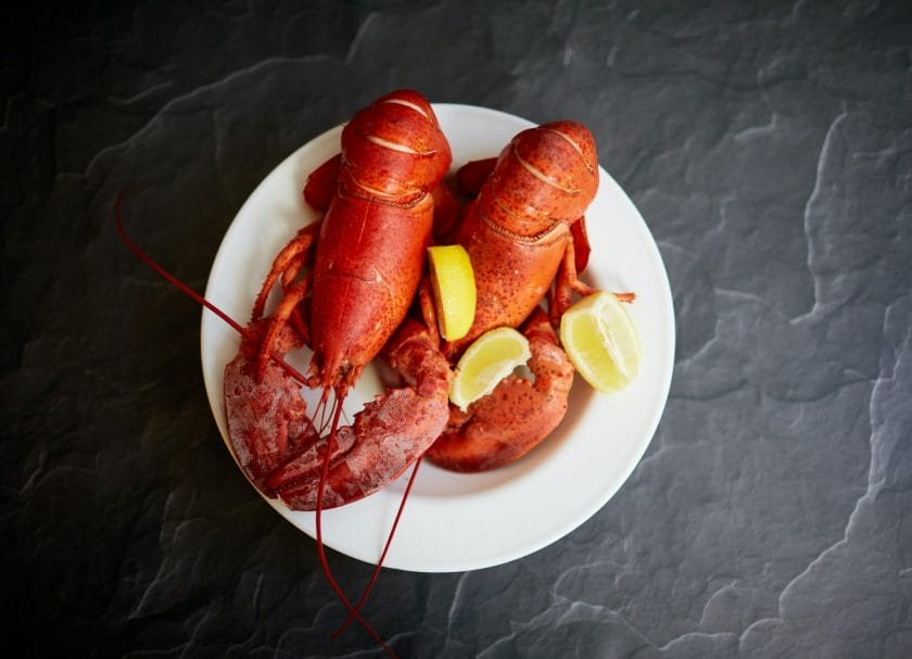 Lobster on a Plate a top thing to do in Bar Harbor Maine Things to do in Bar Harbor Maine