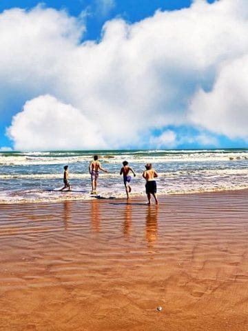 23+ Fun Things In South Padre Island Texas