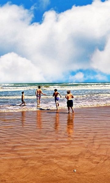 23+ Fun Things In South Padre Island Texas