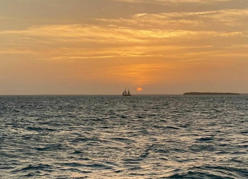 Sail boat with the sunset in the background.
