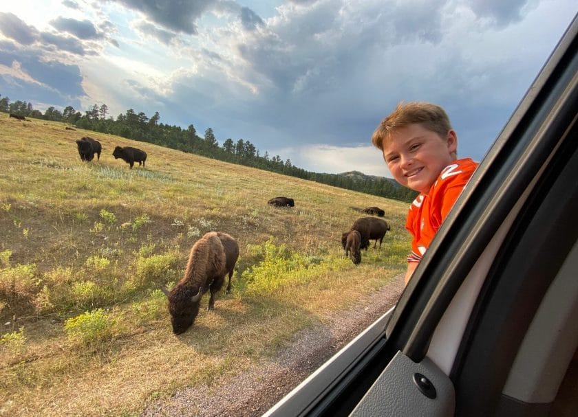 Custer State Park Wildlife Loop