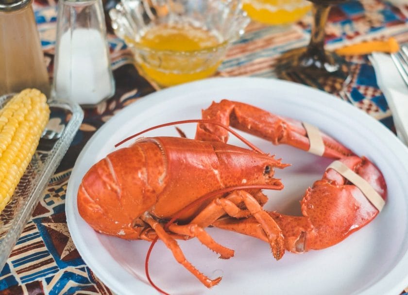 Maine lobster meal