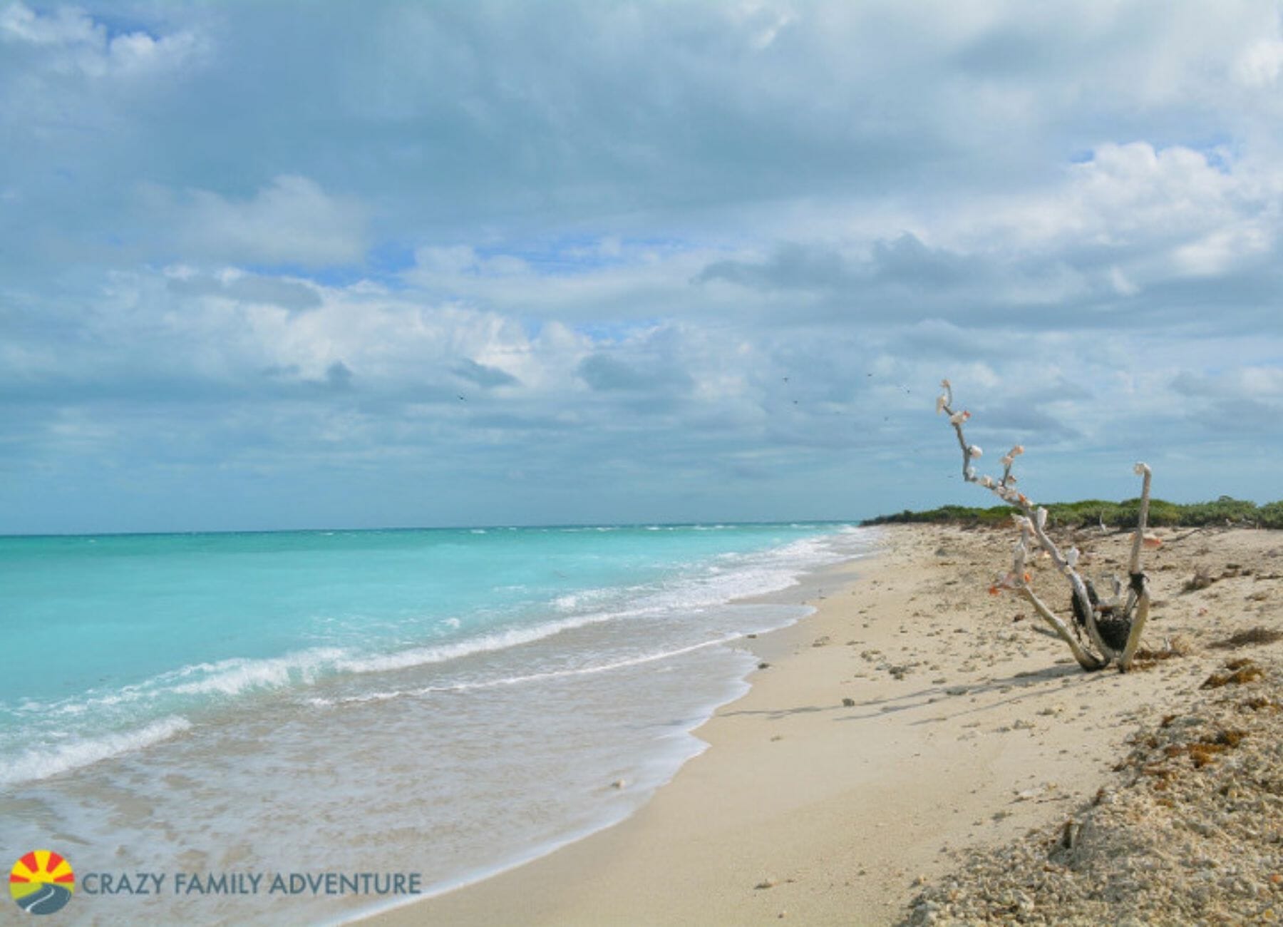Dry Tortugas National Park, East Coast National parks