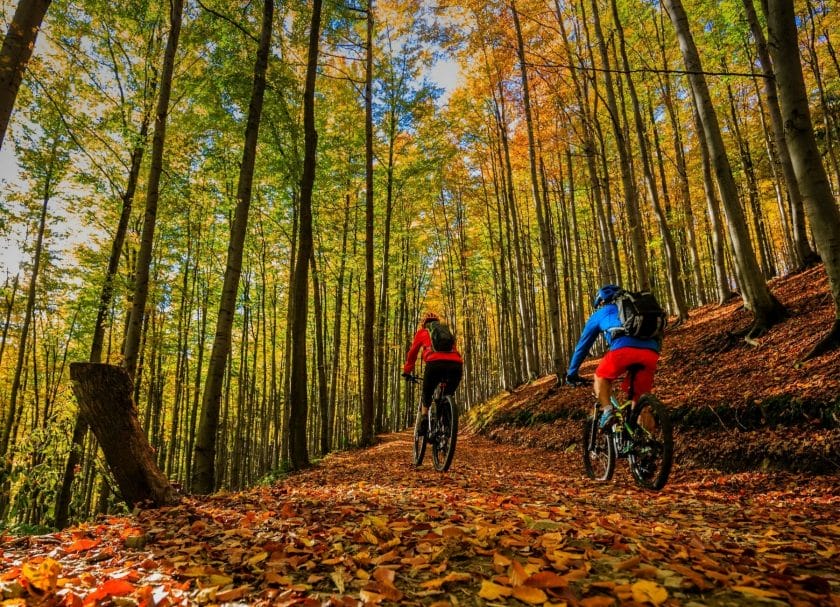 Mountain Biking Devils Den State Park