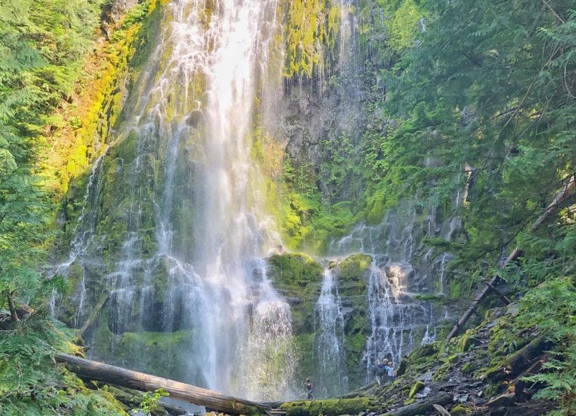 Proxy Falls, Best Oregon Water Falls